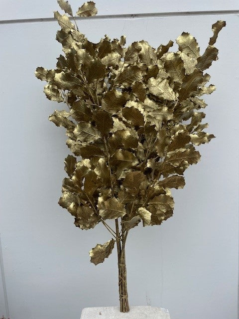Preserved Holly - Gold