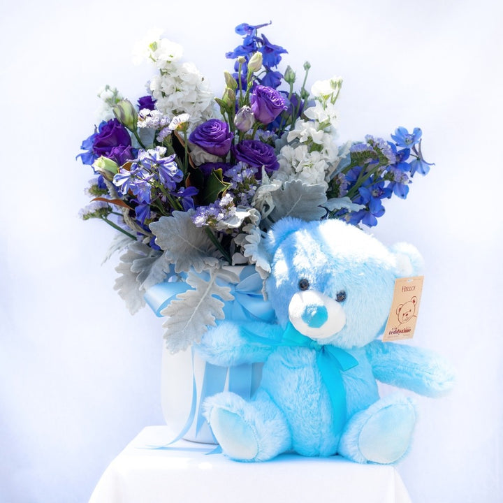 Baby Boy Bundle- Includes Bear