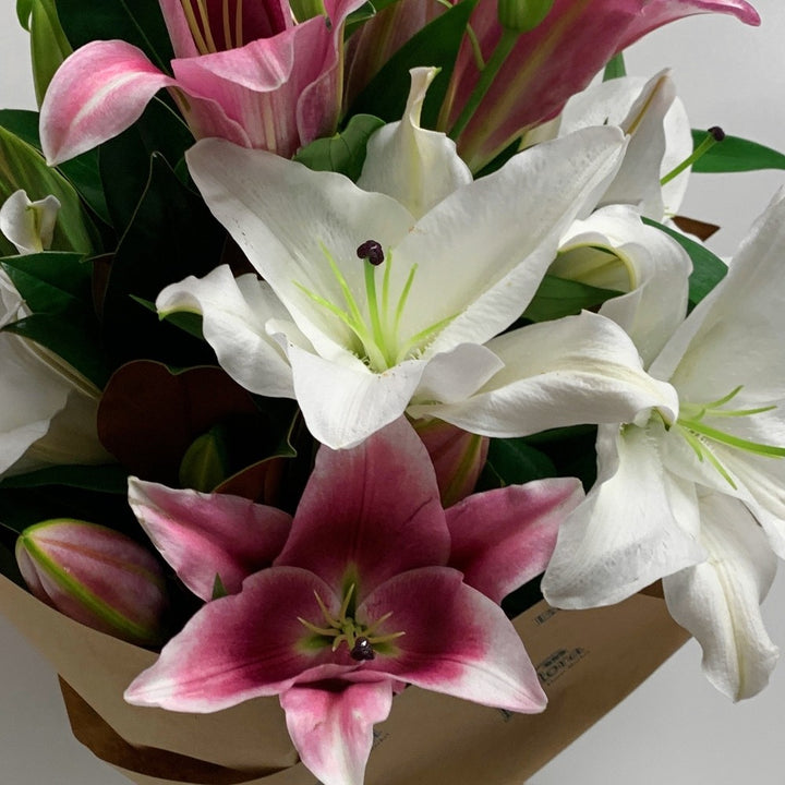 Classic Lilies