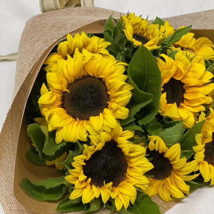 Sunflowers