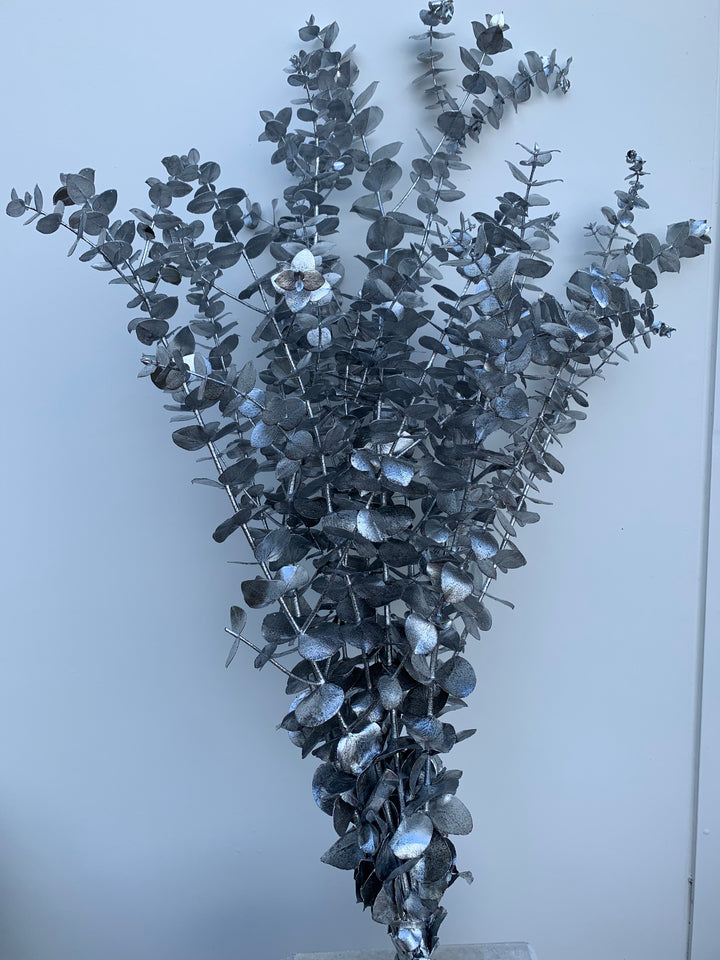 Preserved Eucalyptus - Silver